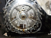 DSCN5937