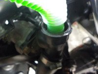 DSCN9815