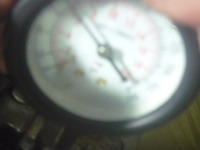 P1010313