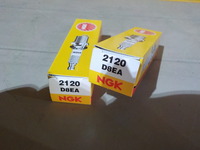 DSCN2906