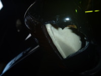 P1010884