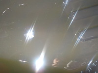DSCN6386