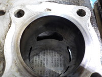DSCN9002
