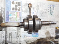 DSCN5176