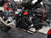 DSCN4508