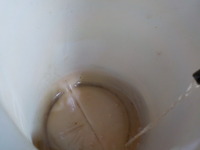 DSCN1951