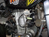 DSCN5134