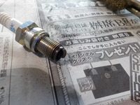 DSCN4491