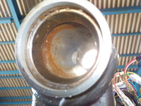 DSCN4485
