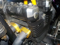 DSCN5451