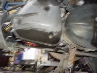 DSCN5134