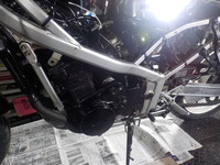 DSCN5609