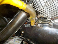 DSCN8129