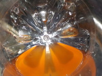 DSCN4755