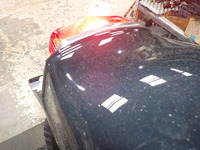 DSCN3695