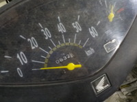 DSCN4045