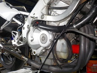 DSCN3646