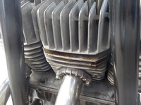 DSCN5953