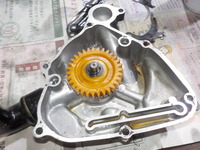 DSCN5956