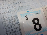 DSCN5231