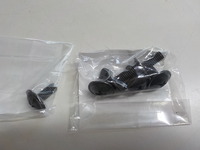 DSCN8667