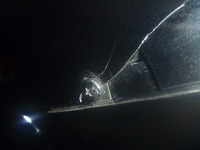 P1170959