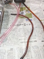 DSCN9229