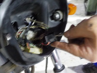 DSCN6507