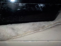 DSCN2318