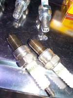 DSCN6187