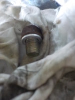 DSCN3427