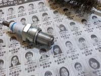 DSCN8042