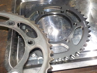 DSCN5550