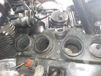 DSCN6186