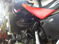 DSCN6485