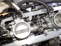 DSCN6500