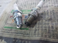 DSCN3538