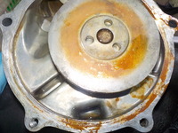 DSCN2798