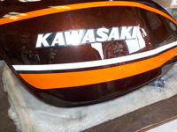 DSCN5173