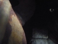 P1050105
