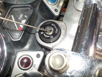 DSCN5973