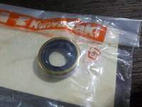 DSCN4960