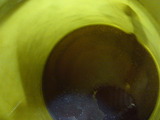 xelvis20111207ws (7)