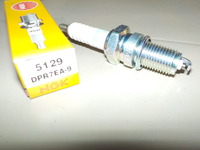 DSCN5045