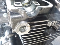 DSCN7531