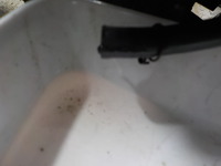 DSCN2838