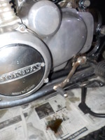 DSCN0175