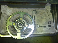 P1010377