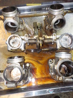 DSCN2746