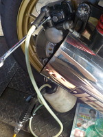 DSCN5038